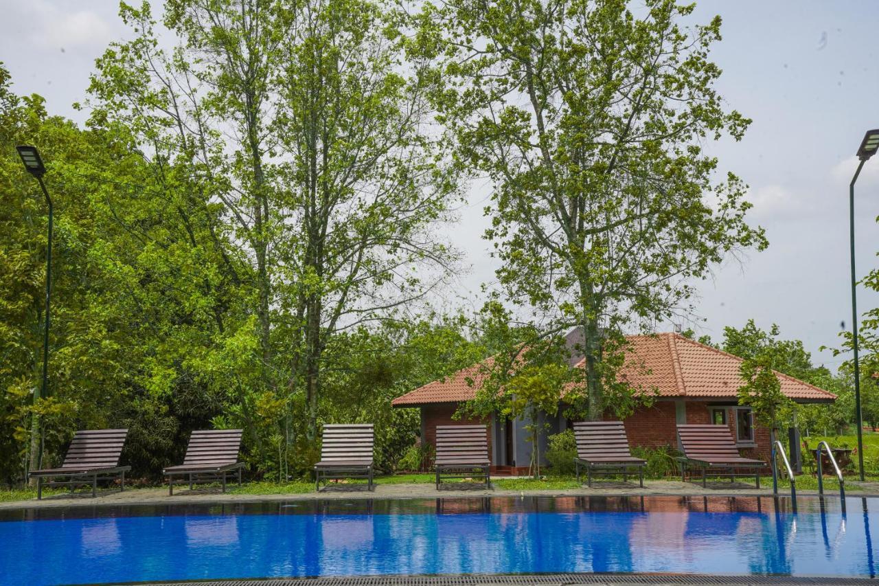 Foresta Resort Sigiriya Exterior foto